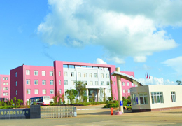 云南天高镍业有限公司